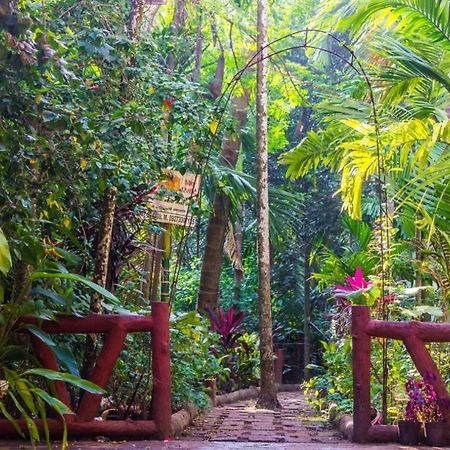 Diveāgar Maitreya Beach Resort المظهر الخارجي الصورة