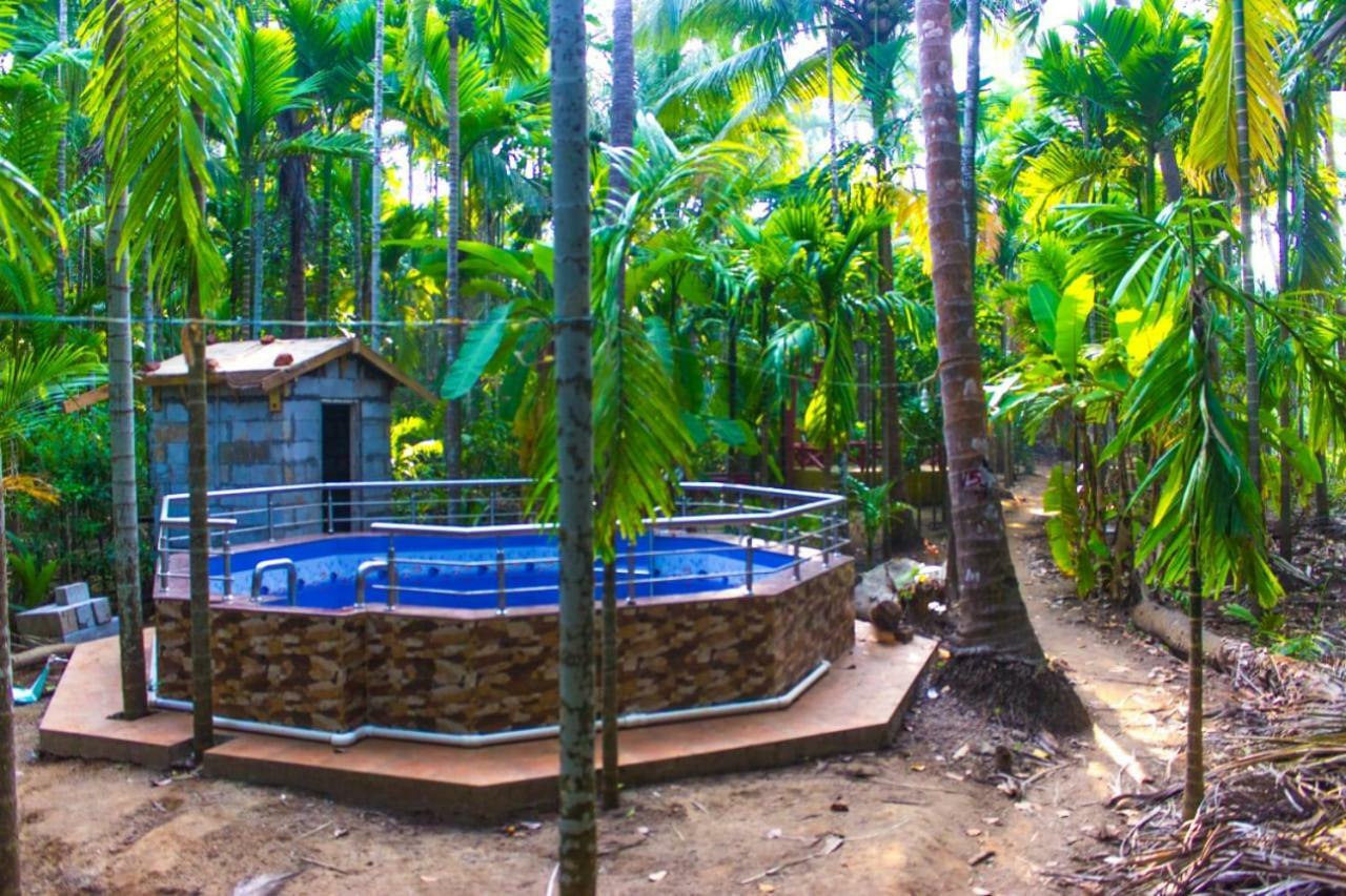 Diveāgar Maitreya Beach Resort المظهر الخارجي الصورة